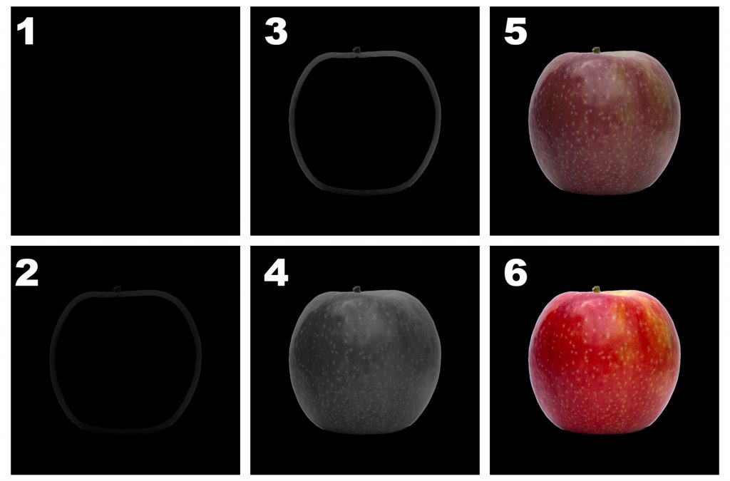 APHANTASIA TEST IMAGE